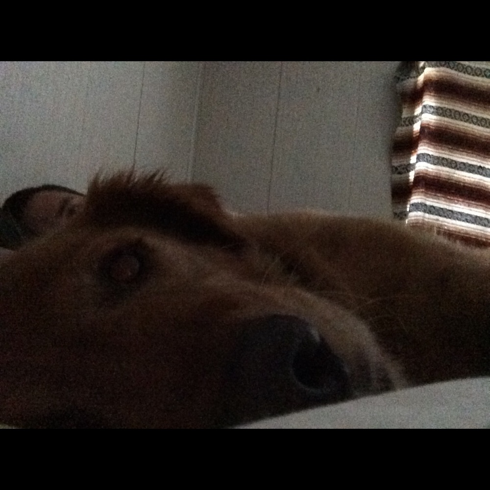 Meet your Posher, Kevin